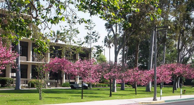 Bolig på California State University Long Beach (CSULB)