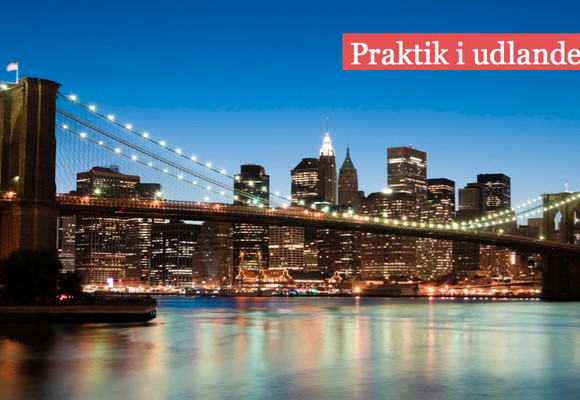 Praktik i udlandet - internship abroad