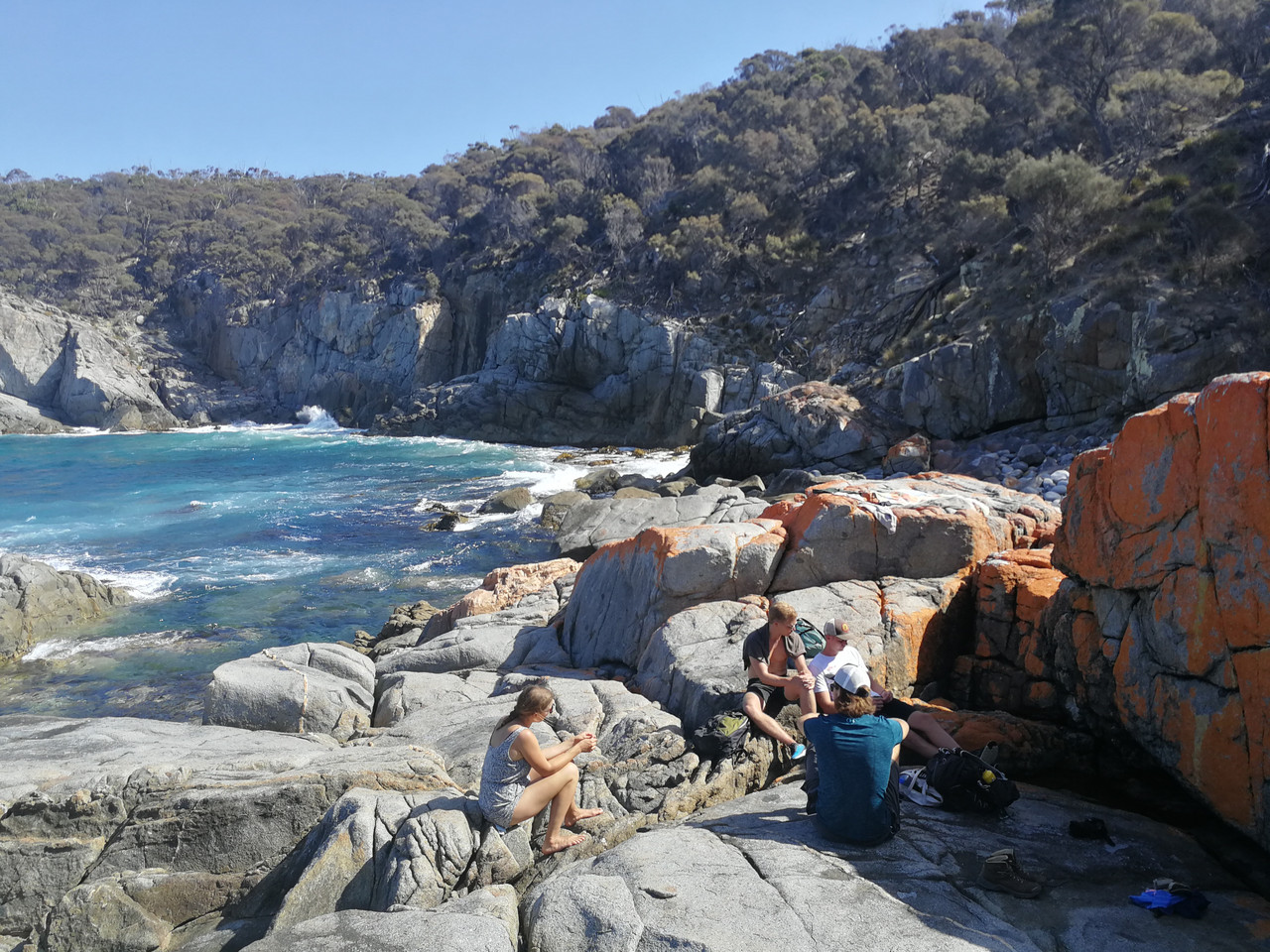 Rejse og oplevelser på Tasmanien
