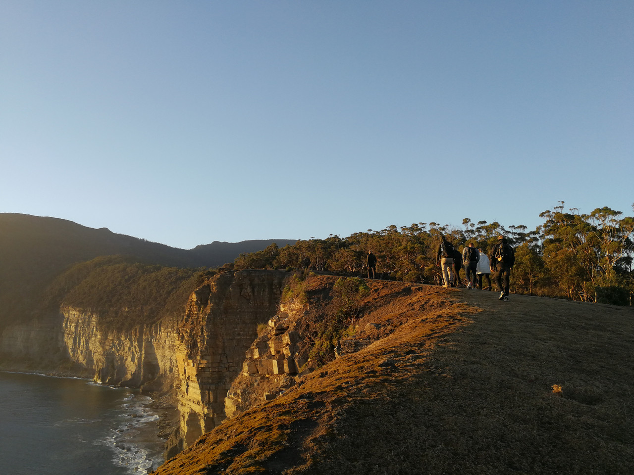 Vandretur i natur på Tasmanien