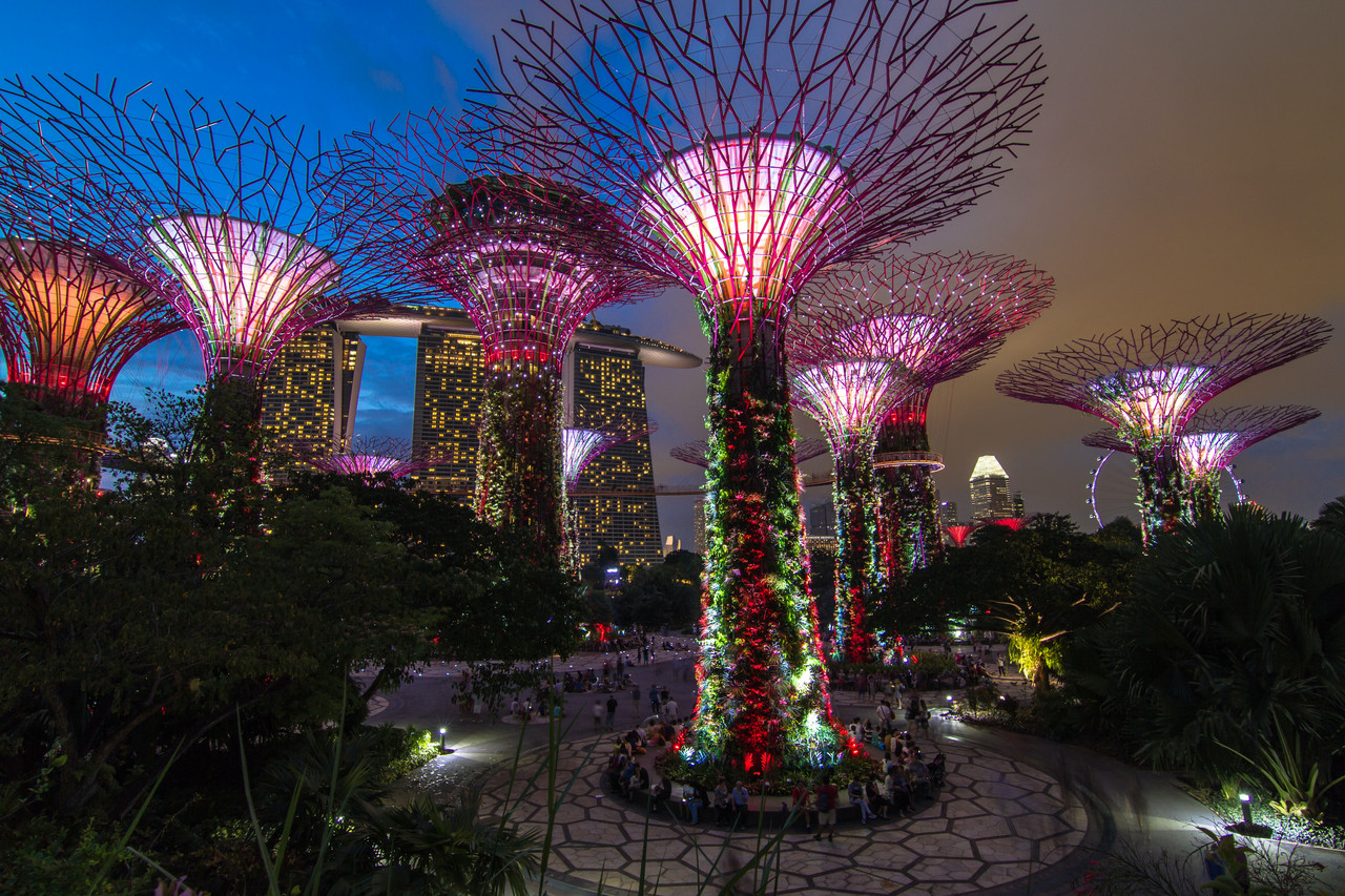 studer og oplev singapore som study abroad studerende