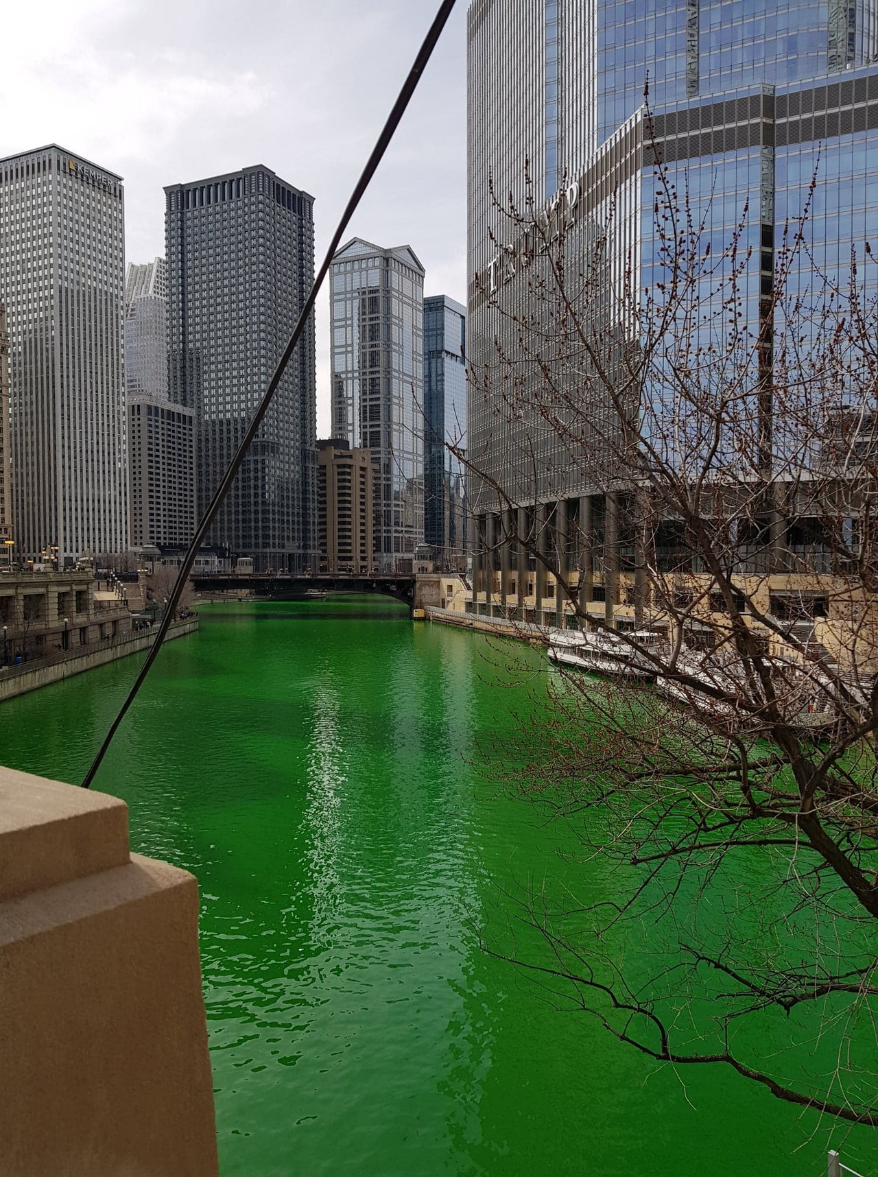 Chicago river 