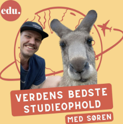 podcast om jobmuligheder efter studieophold 