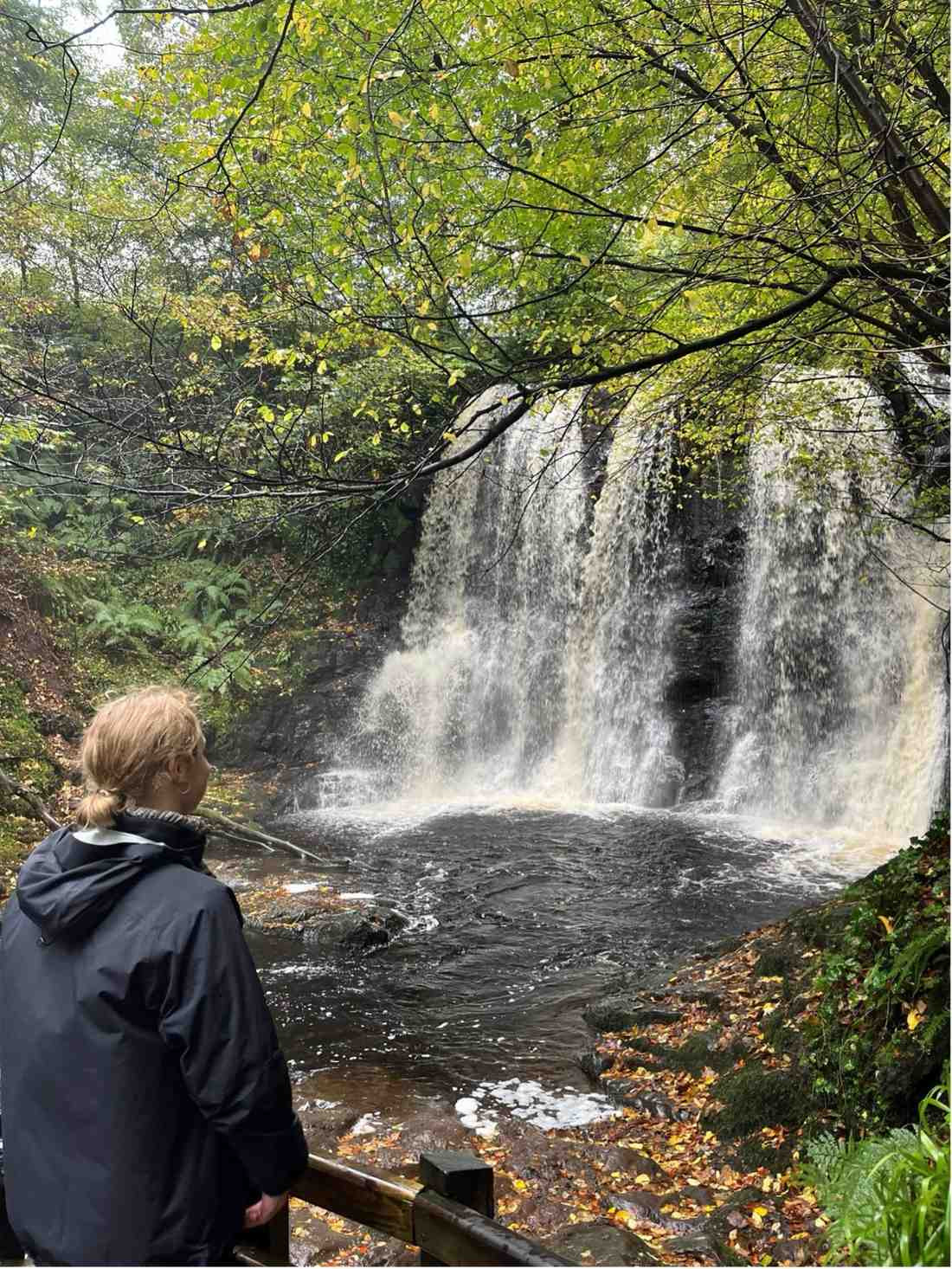 Studieophold på UCD via EDU