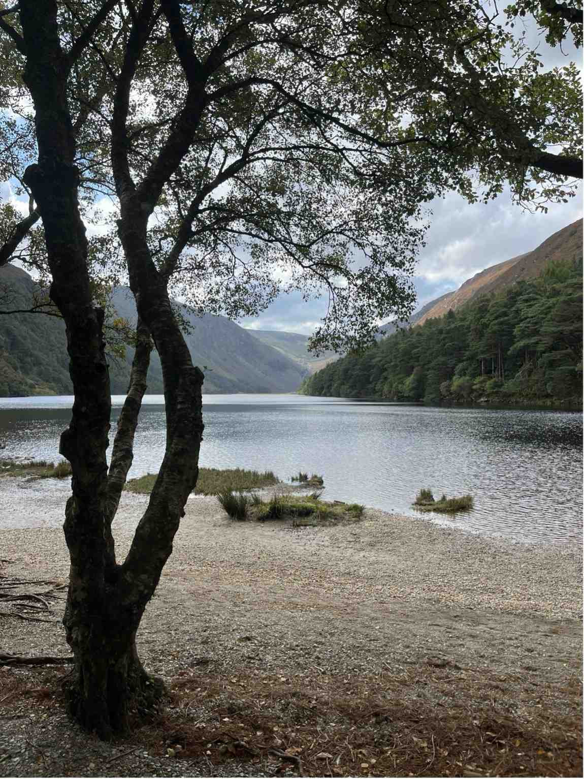 Studieophold i Europa via EDU