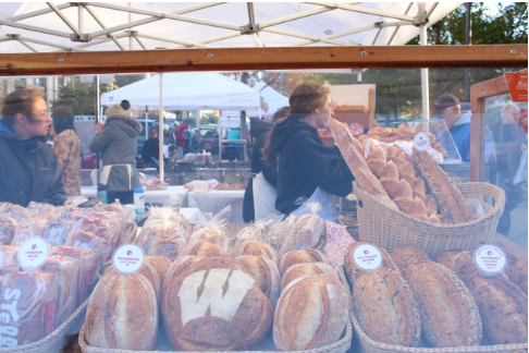 Wisconsin-Madison, Studieophold 