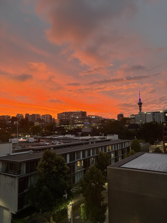 Auckland studieophold