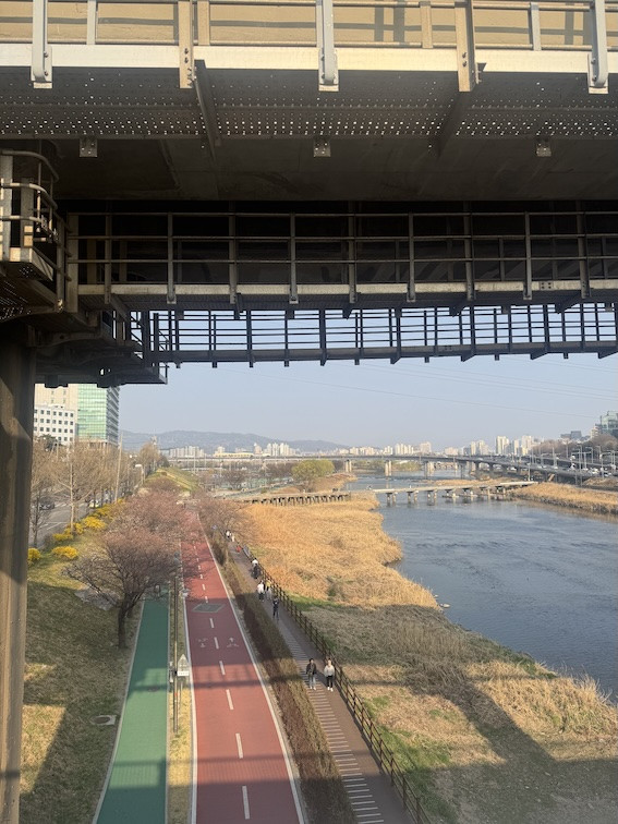 Seoul studieophold EDU