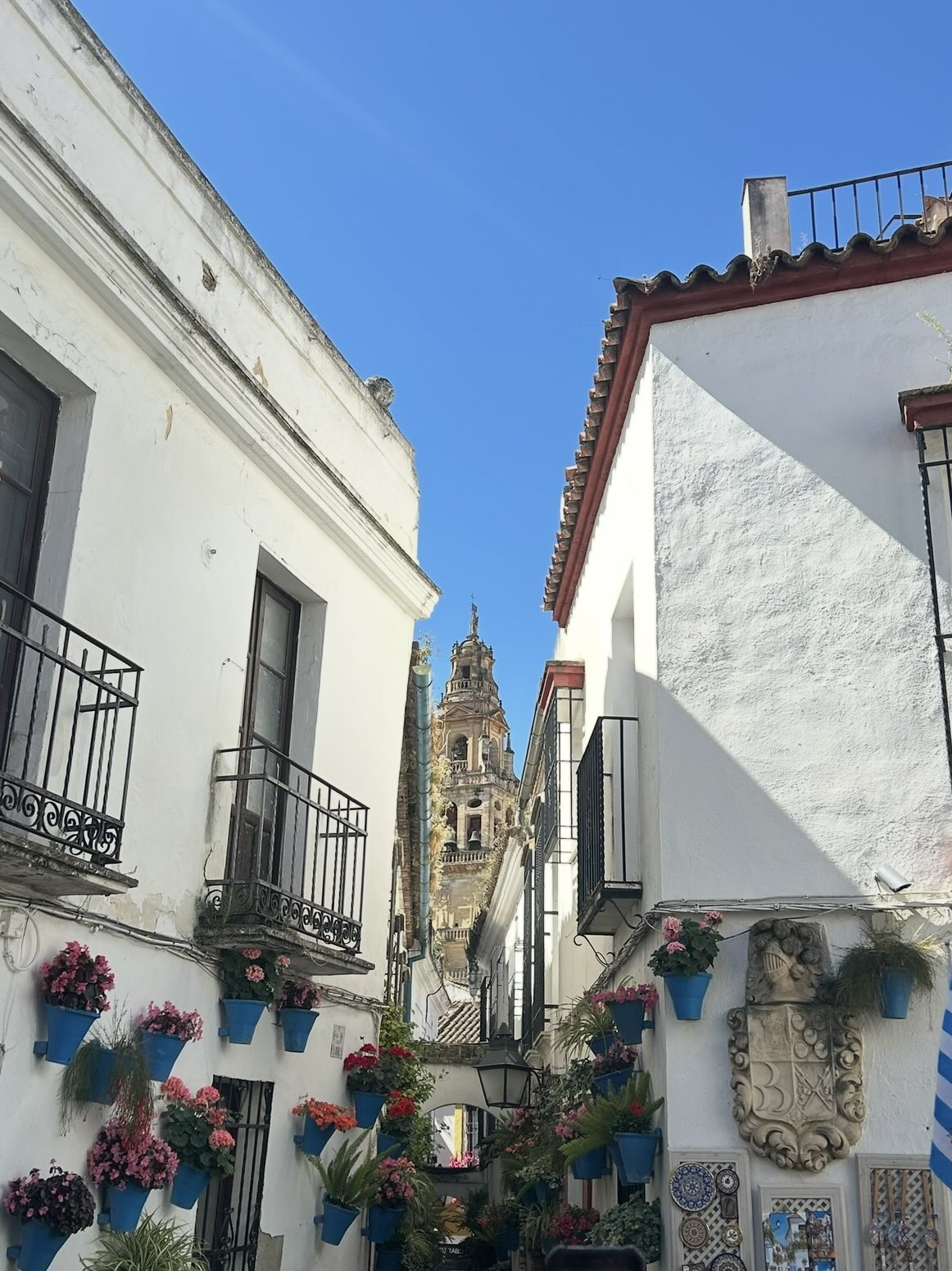 EDU - Alicante Spanien