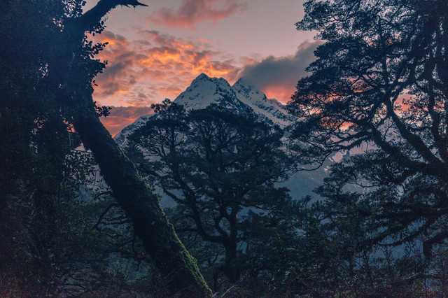 Bjerge i solnedgang i New Zealand