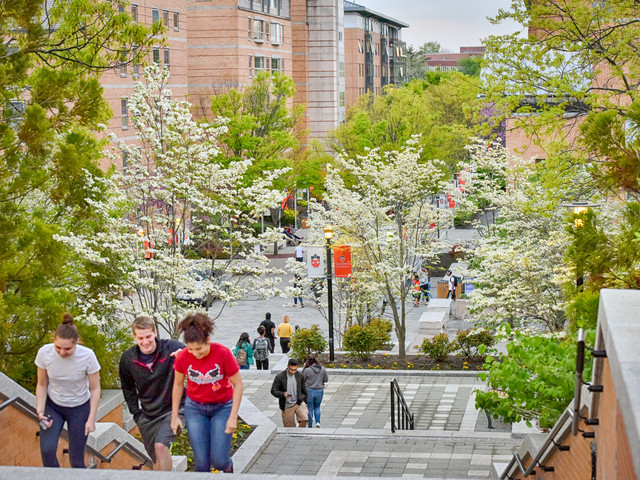 St. John's University campus i New York City Queens