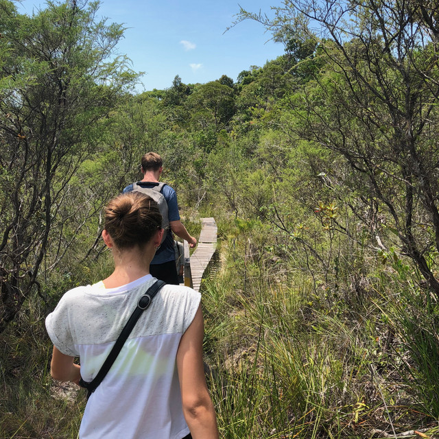 Rejser på Borneo på studieophold