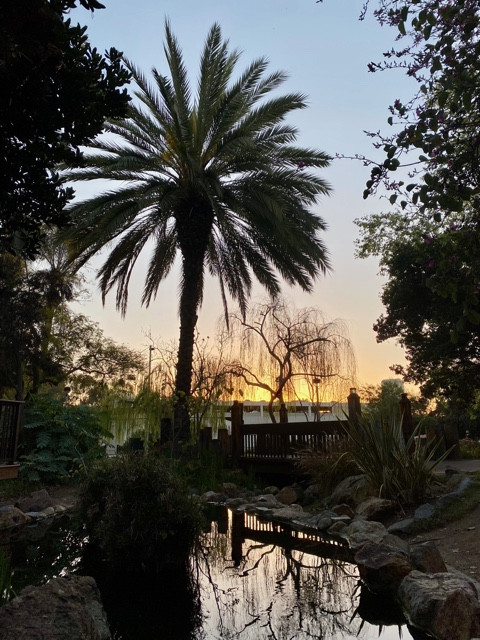 Balboa Park, San Diego