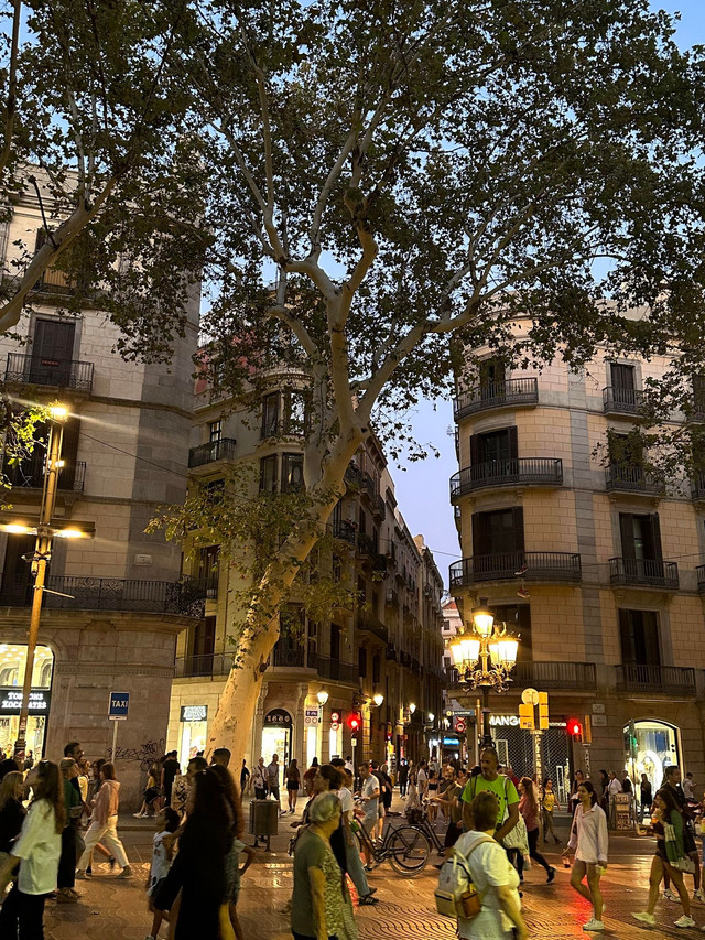 Sabbatår i Barcelona