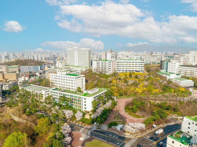 Studiemuligheder i Sydkorea