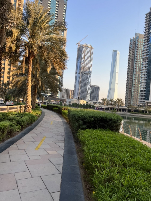 Studieophold på Hult i Dubai