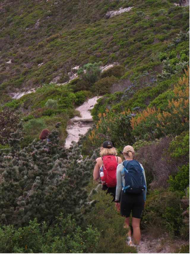 Australien studieoplevelse