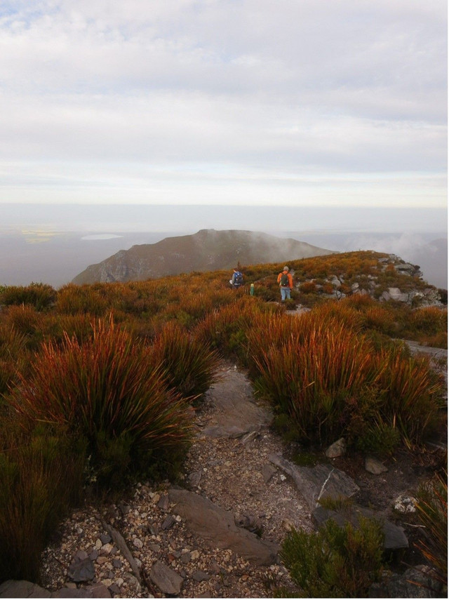 Studieophold via EDU