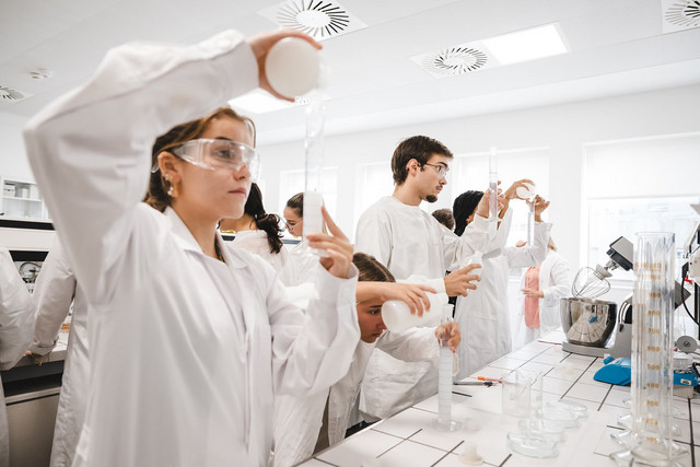 Mulighed for mange fag i Portugal