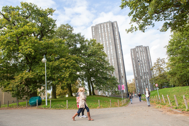 University of Essex boligmuligheder campus