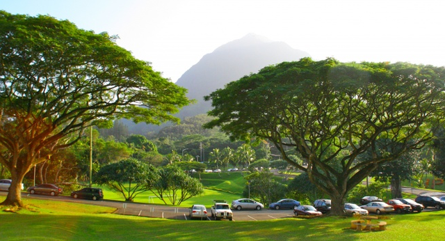 Bolig på Hawaii Pacific University, HPU, Hawaii