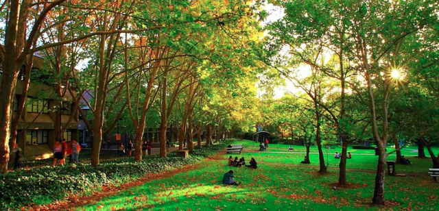 Bolig på Macquarie University, Sydney, New South Wales, Australien