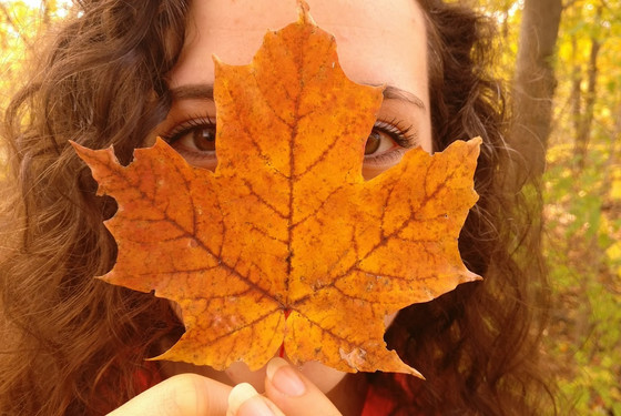 Canada natur rejser studieophold