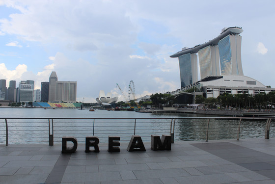 Gardens by the bay singapore