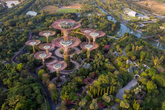 Kom på studieophold i Singapore gennem EDU. Oplev blandt andet Supertree Grove.