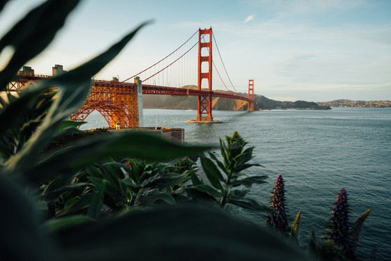 Hult International Business School, San Francisco, Golden Gate