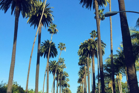 Studieophold i Los Angeles, Beverly Hills