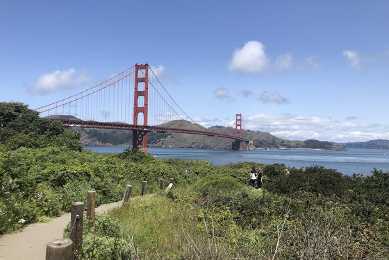 San Fransisco bridge ved UC Berkeley