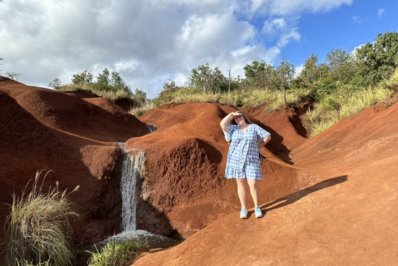 Udveksling på Hawaii