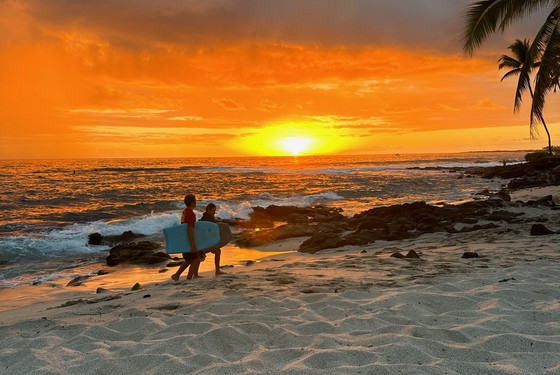 Studieophold på Hawaii