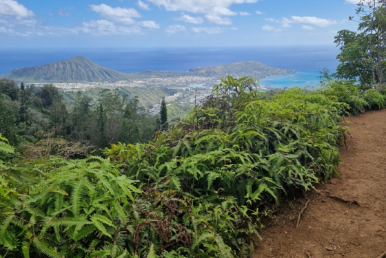 Udveksling Hawai’i Pacific University 