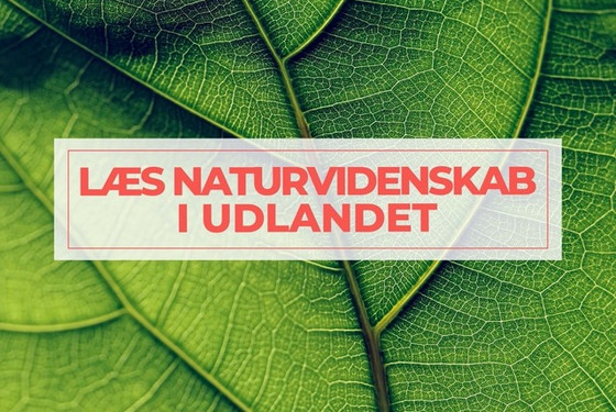 Læs naturvidenskab i udlandet