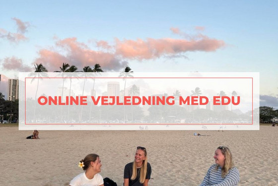 Online vejledning med EDU