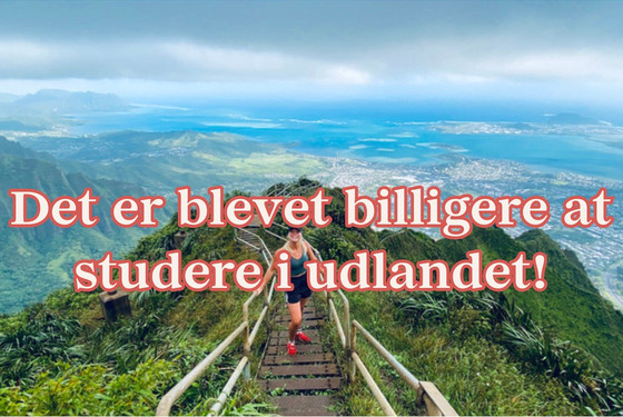 Det er billigere at studere i udlandet