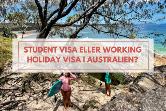 Student Visa eller Working Holiday visa til Australien?
