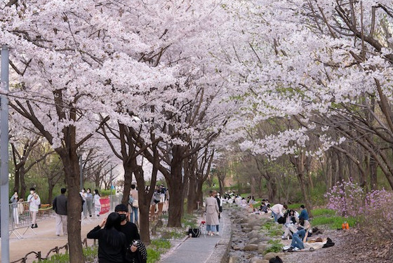 Udveksling i Sydkorea