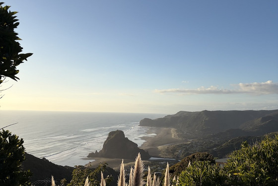 Studieophold på University of Auckland, New Zealand