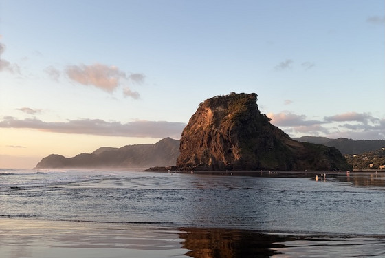 Study Abroad Auckland