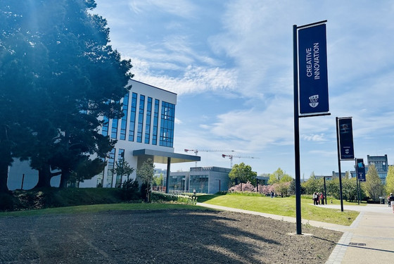 EDU - Læs på UCD i Irland