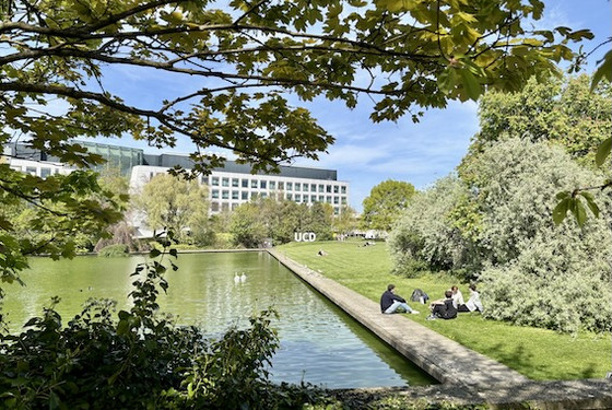 UCD - søg om udveksling via EDU