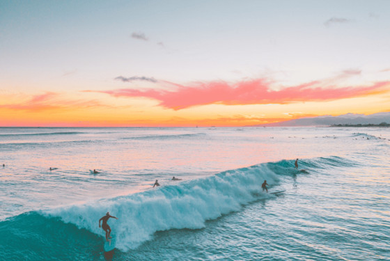 Drømmer du om nye oplevelser edu