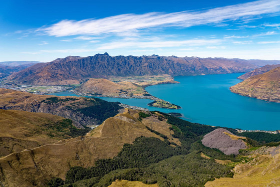 Studer i New Zealand med EDU
