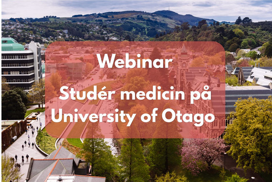 Webinar omkring studere medisin i udlandet