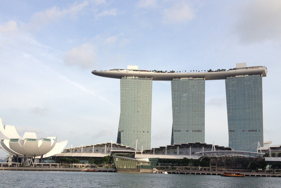 Læs på James Cook University, Singapore