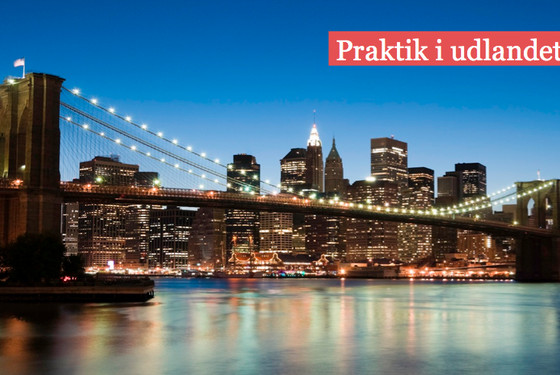 Praktik i udlandet - internship abroad