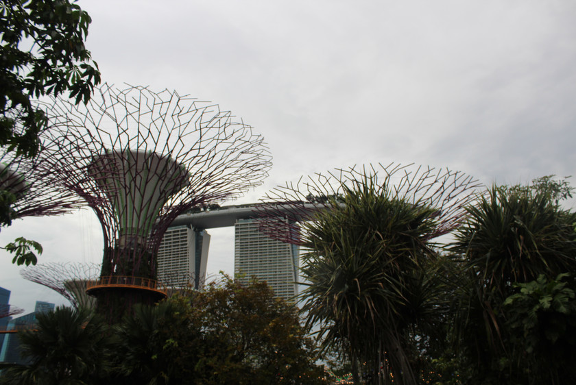 Gardens by the bay singapore